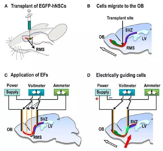 1531991639232917yG1d.png 圖片30.png