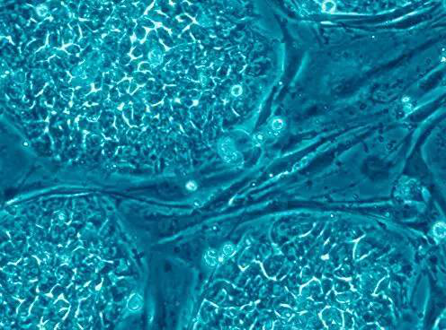 1531991624355762NhmF.png 圖片28.png