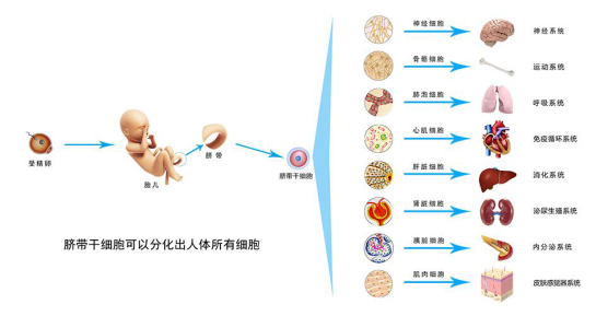 1563245888712085nobC.png 圖片5.png