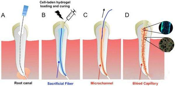 15639319314227721esX.png 圖片2.png