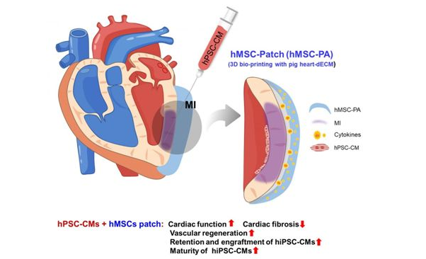 1566872117880337EAUZ.png 微信截圖_20190827101426.png
