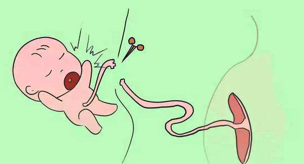 157075567124397990MY.png 圖片1.png